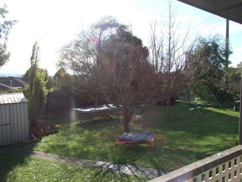 17 Scorpio Drive, Moe VIC 3825