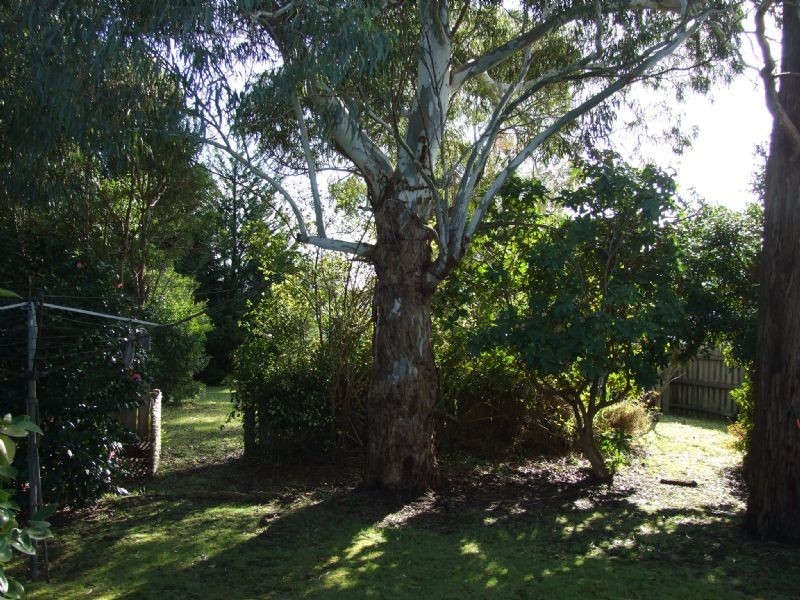 21 Torres Street, Newborough VIC 3825