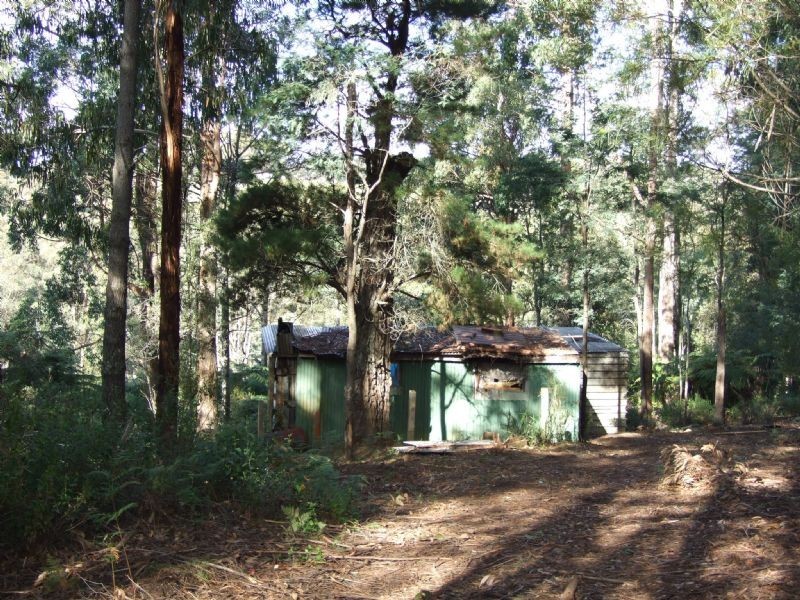 0 Finns Track, Rawson VIC 3825