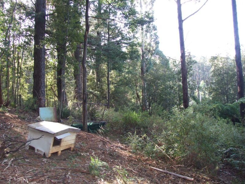0 Finns Track, Rawson VIC 3825
