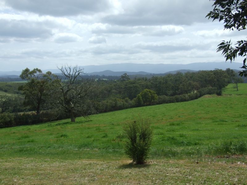 1004 Moe/Willow Grove Road, Willow Grove VIC 3825