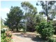 34 Thalloo Road, Tanjil South VIC 3825