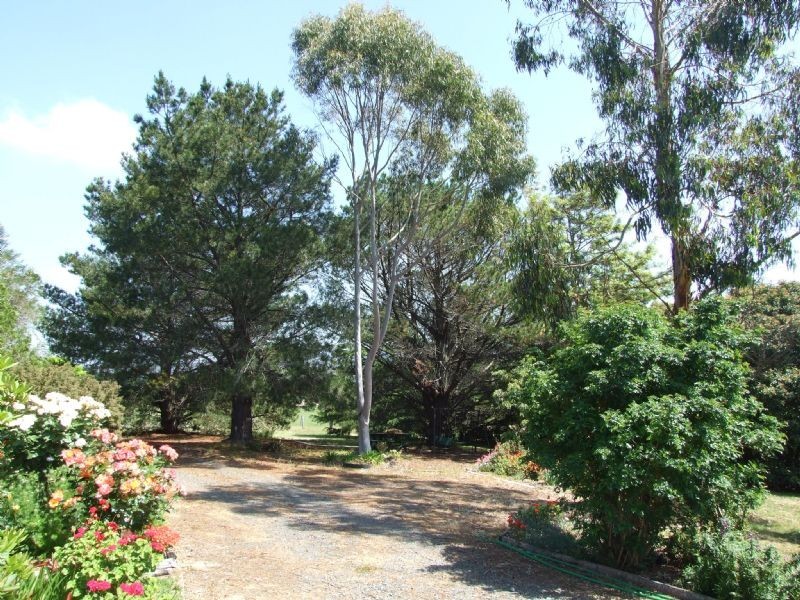 34 Thalloo Road, Tanjil South VIC 3825