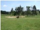 34 Thalloo Road, Tanjil South VIC 3825