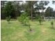 7 Frys Track, Newborough VIC 3825