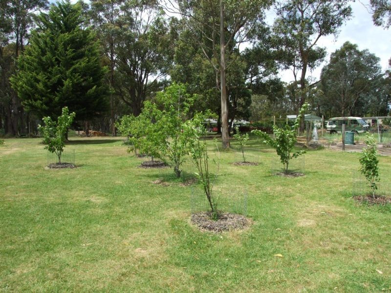 7 Frys Track, Newborough VIC 3825