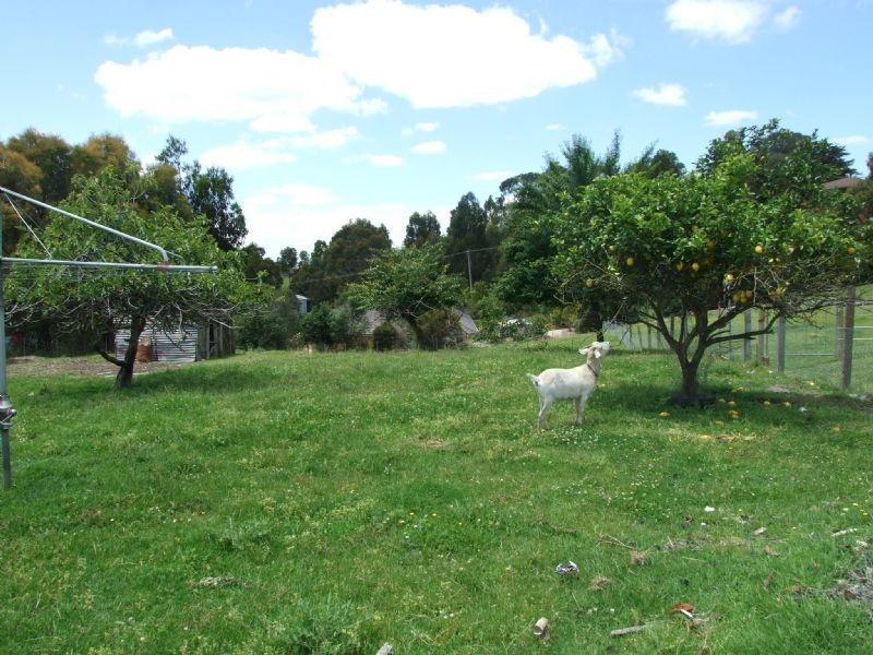 6 Dudman Road, Yallourn North VIC 3825