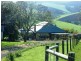 654  Ten Mile Creek Road, Delburn VIC 3871