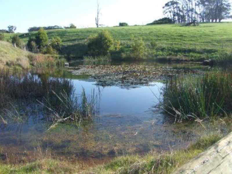654  Ten Mile Creek Road, Delburn VIC 3871