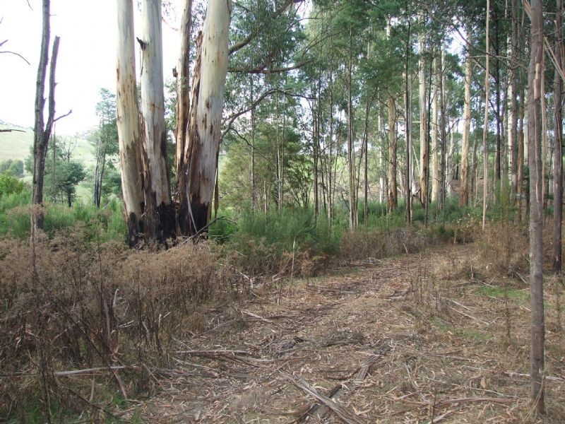 Lot 15 Rusks Road, Erica VIC 3825