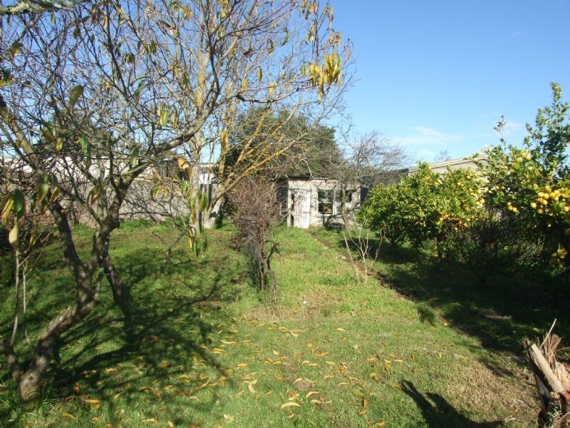165 Lloyd Street, Moe VIC 3825