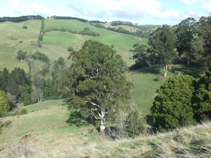 0 Wellers Road, Strzelecki VIC 3950