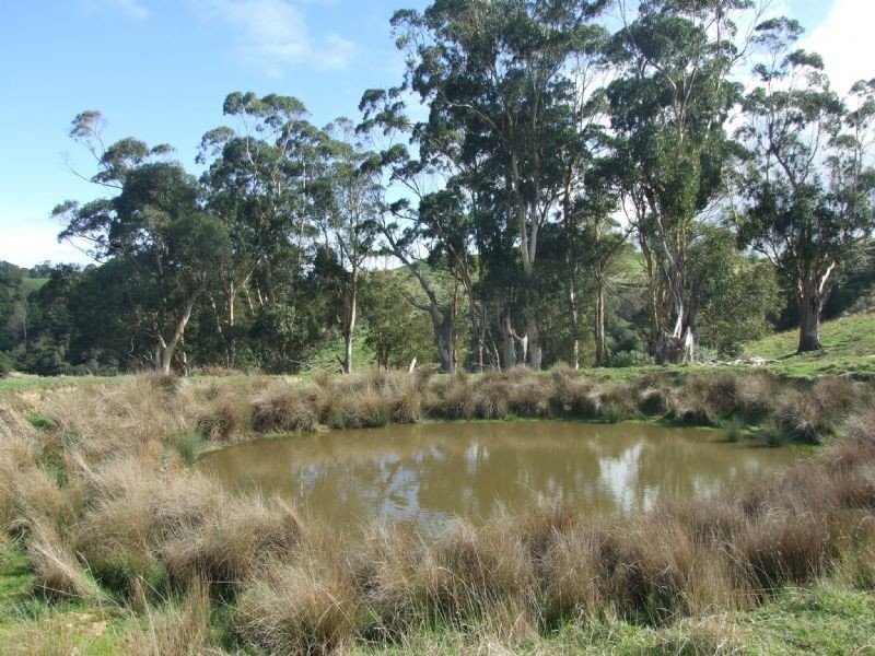 0 Wellers Road, Strzelecki VIC 3950