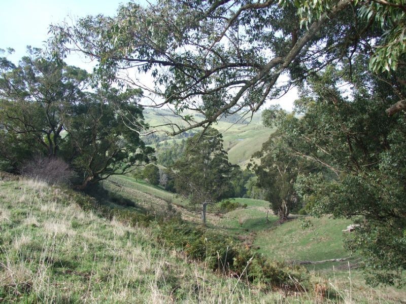 0 Wellers Road, Strzelecki VIC 3950