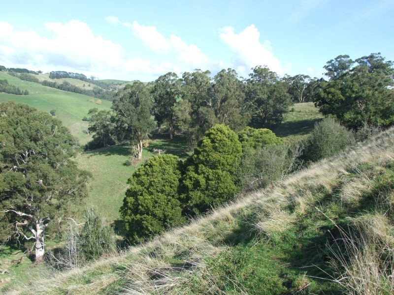 0 Wellers Road, Strzelecki VIC 3950