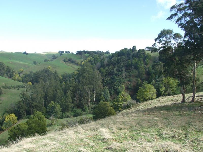 0 Wellers Road, Strzelecki VIC 3950