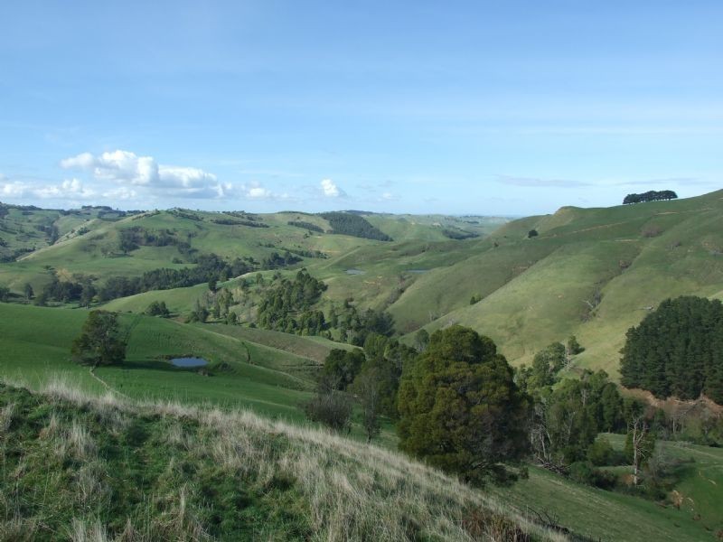 0 Wellers Road, Strzelecki VIC 3950