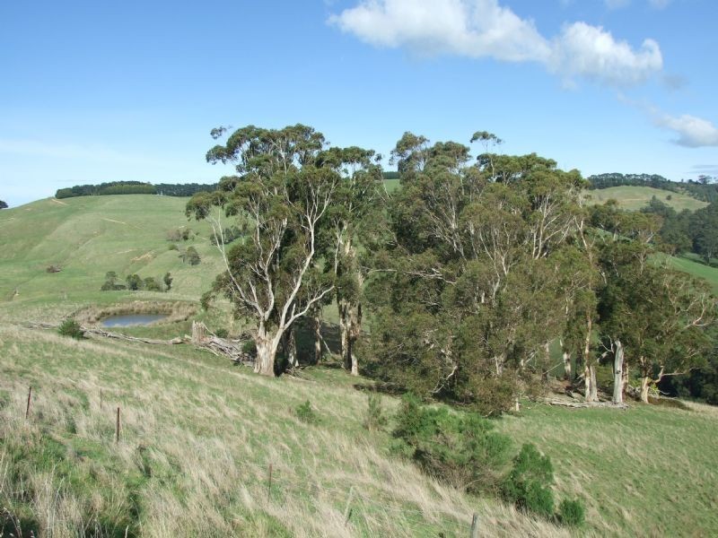 0 Wellers Road, Strzelecki VIC 3950