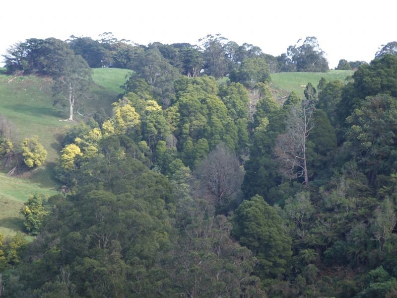 0 Wellers Road, Strzelecki VIC 3950