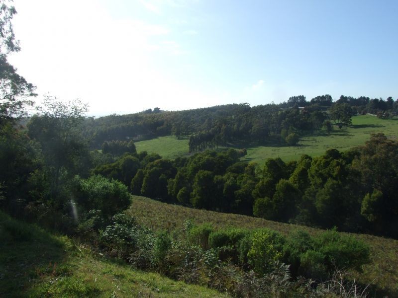 385  McDonalds Track, Hernes Oak VIC 3825