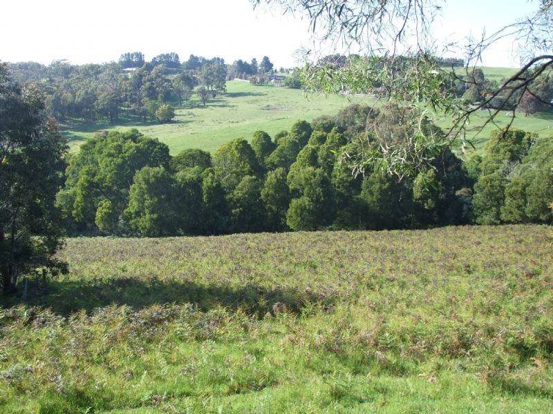 385  McDonalds Track, Hernes Oak VIC 3825