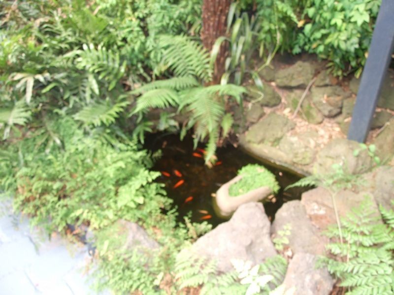 23 May Street, Moe VIC 3825