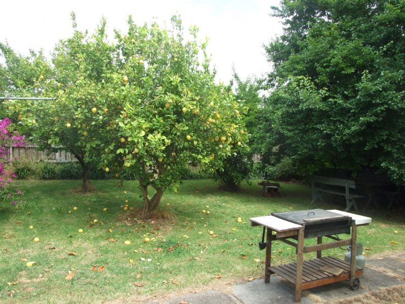 13 Powell Street, Newborough VIC 3825