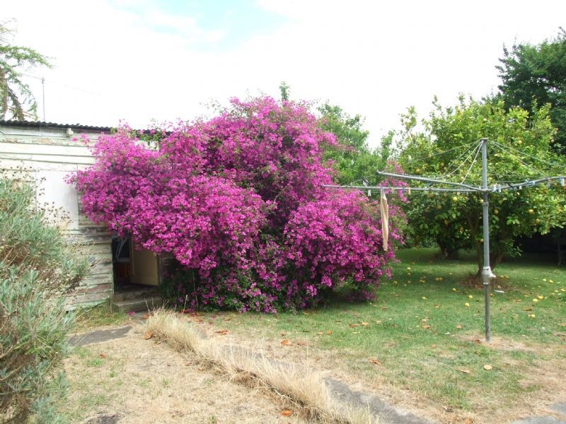 13 Powell Street, Newborough VIC 3825