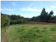 2 Whitelaw Court, Rawson VIC 3825
