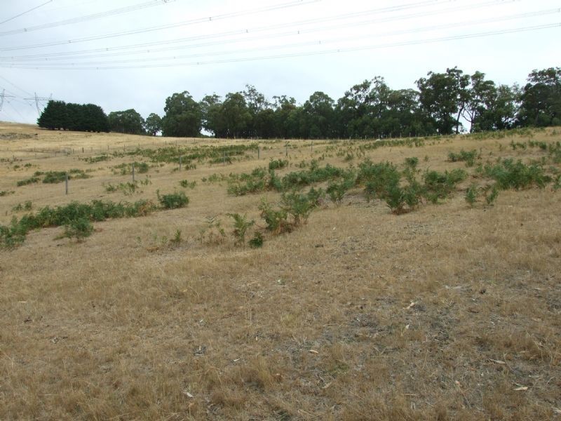 14 Yasmin Drive, Hernes Oak VIC 3825