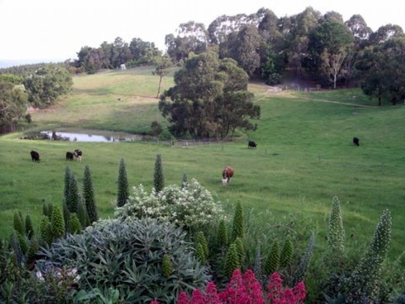285 McDonalds Track, Hernes Oak VIC 3825