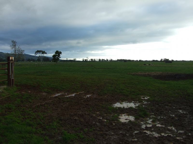 97 Willow Grove Road, Trafalgar VIC 3824