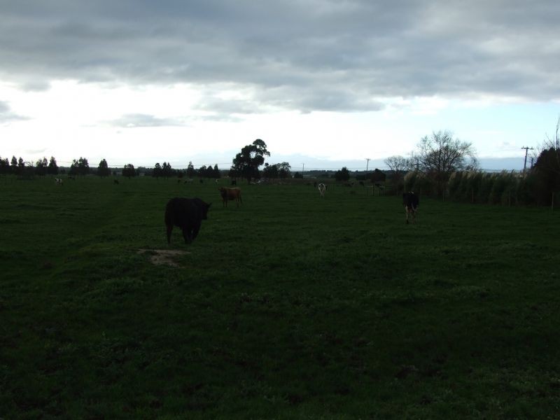 97 Willow Grove Road, Trafalgar VIC 3824