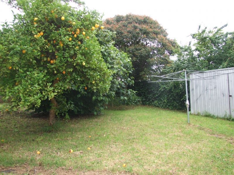 19 Richard Street, Moe VIC 3825