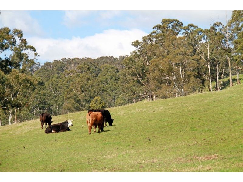 547 Coalville Road, Hernes Oak VIC 3825