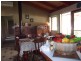 55 View Road, Hernes Oak VIC 3825