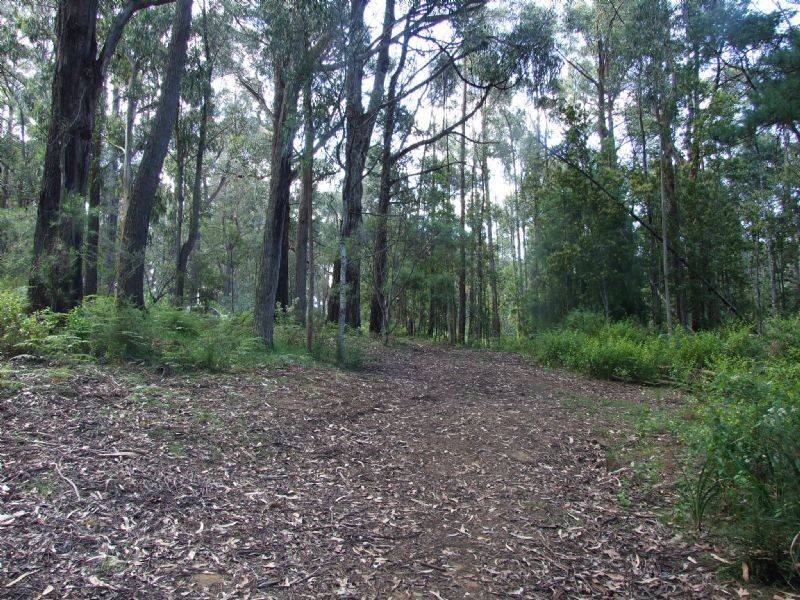 Finns Track, Rawson VIC 3825