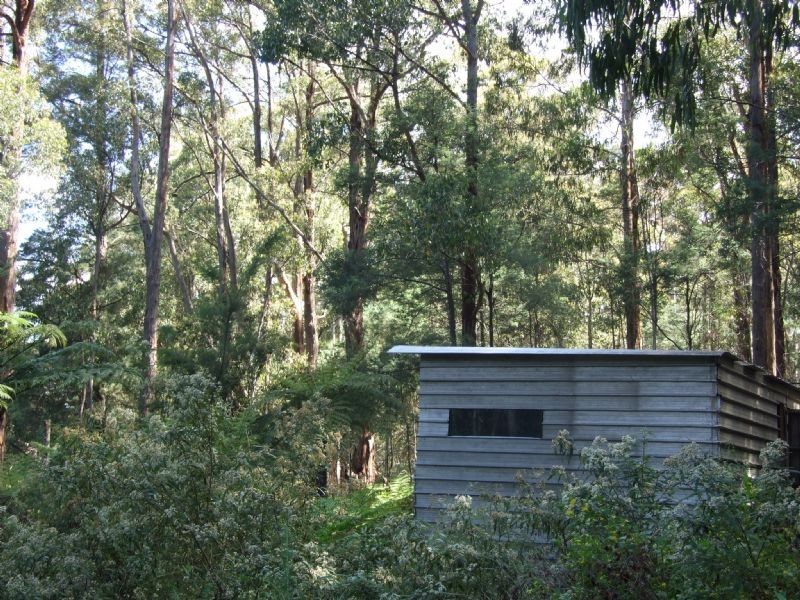 Finns Track, Rawson VIC 3825