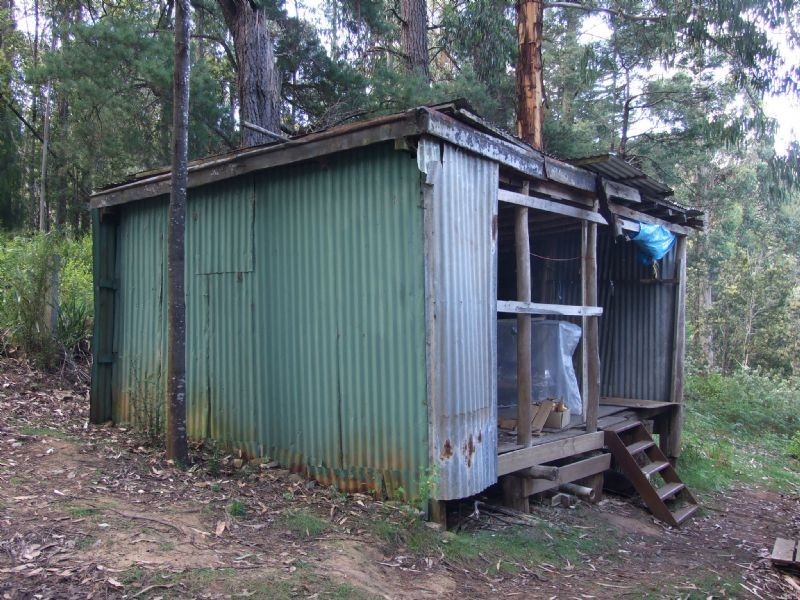 Finns Track, Rawson VIC 3825