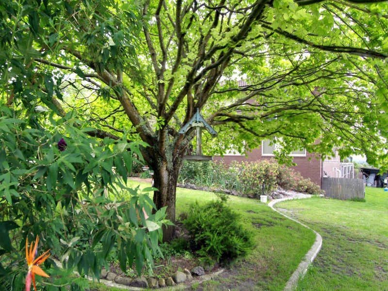 15 Links Road, Newborough VIC 3825