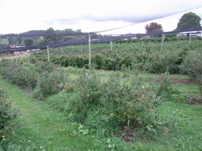 21-27 School Road, Erica VIC 3825