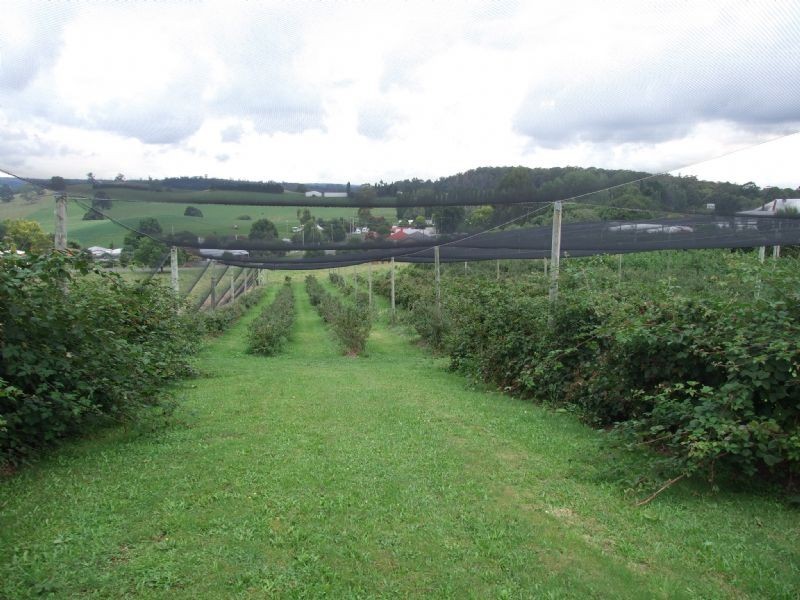 21-27 School Road, Erica VIC 3825