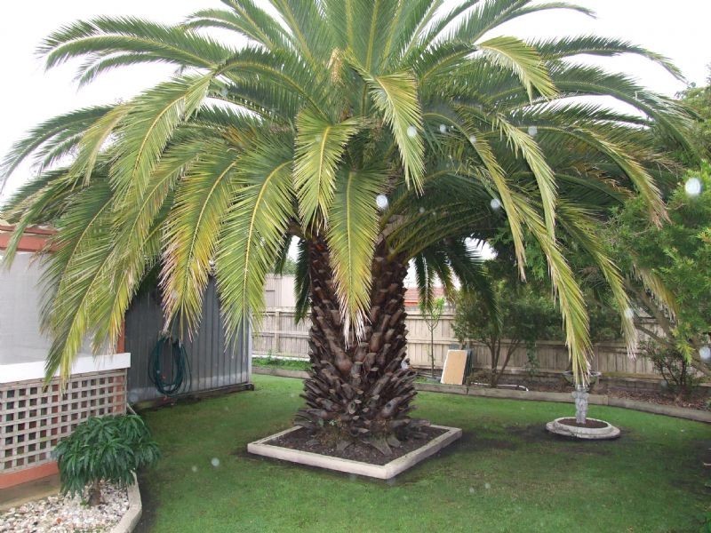 13 Bliss Street, Moe VIC 3825