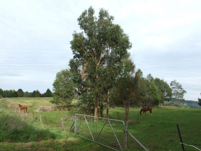 Moe South Road, Moe South VIC 3825