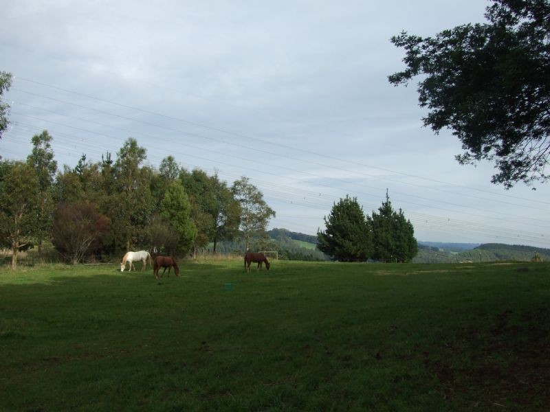 Moe South Road, Moe South VIC 3825