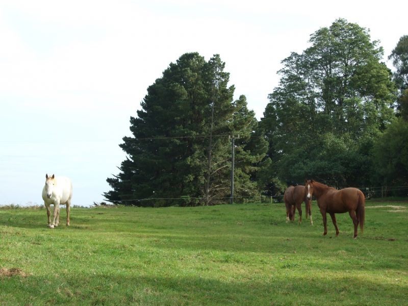 Moe South Road, Moe South VIC 3825