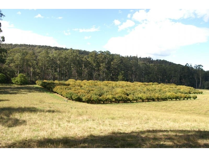 238 Rusks Road, Erica VIC 3825