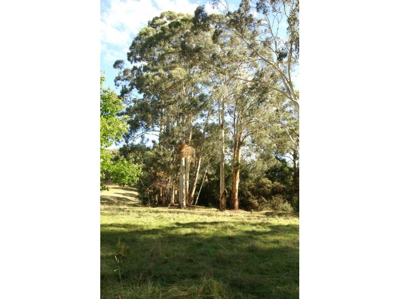 238 Rusks Road, Erica VIC 3825