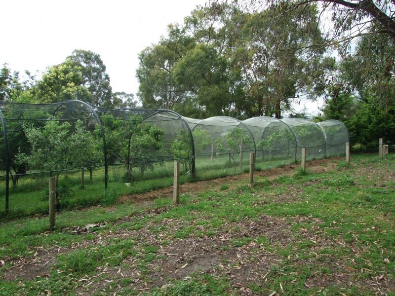 11 Hasthorps Road, Tanjil South VIC 3825