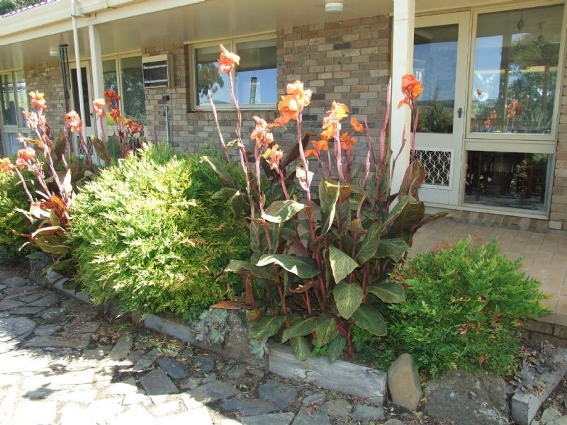 300 Moe-Willow Grove Road, Tanjil South VIC 3825